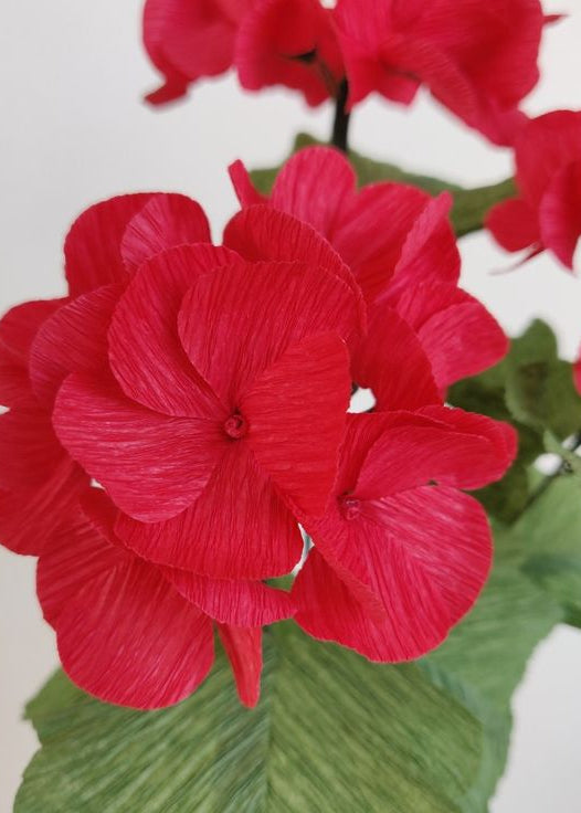 Crepe Paper Flower Series - Schedule of Flowers and Dates are listed