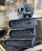 Load image into Gallery viewer, Davis Graveyard Skull and Books Workshop on Friday October 13th
