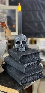 Load image into Gallery viewer, Davis Graveyard Skull and Books Workshop on Friday October 13th
