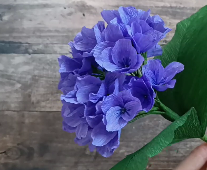 Crepe Paper Flower Series - Schedule of Flowers and Dates are listed