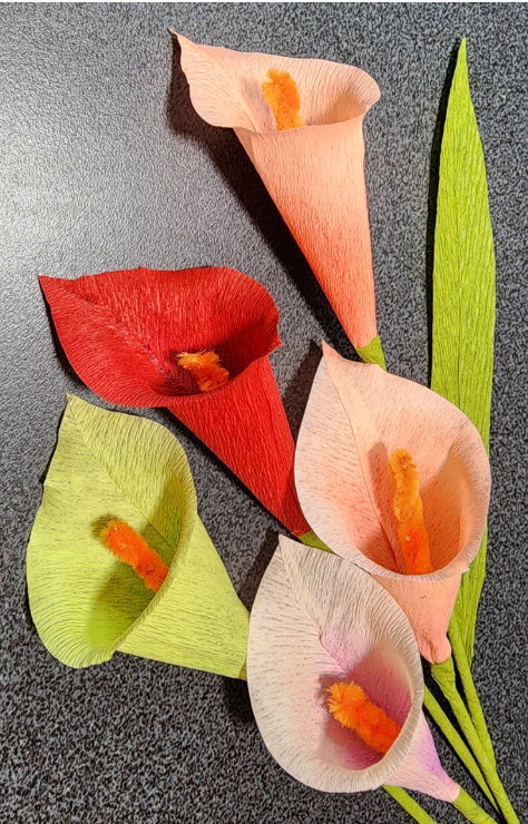 Crepe Paper Flower Series - Schedule of Flowers and Dates are listed