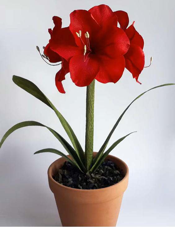 Crepe Paper Flower Series - Schedule of Flowers and Dates are listed