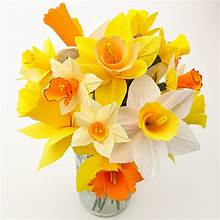 Crepe Paper Flower Series - Schedule of Flowers and Dates are listed