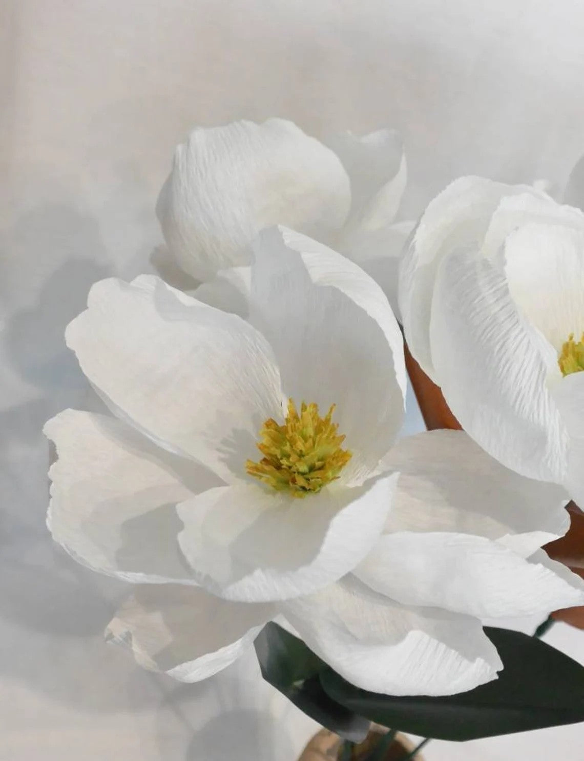 Crepe Paper Flower Series - Schedule of Flowers and Dates are listed