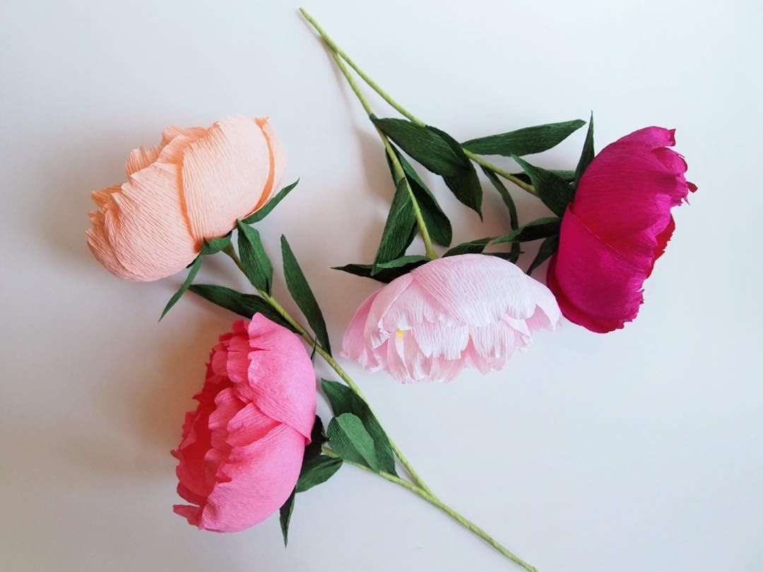 Crepe Paper Flower Series - Schedule of Flowers and Dates are listed