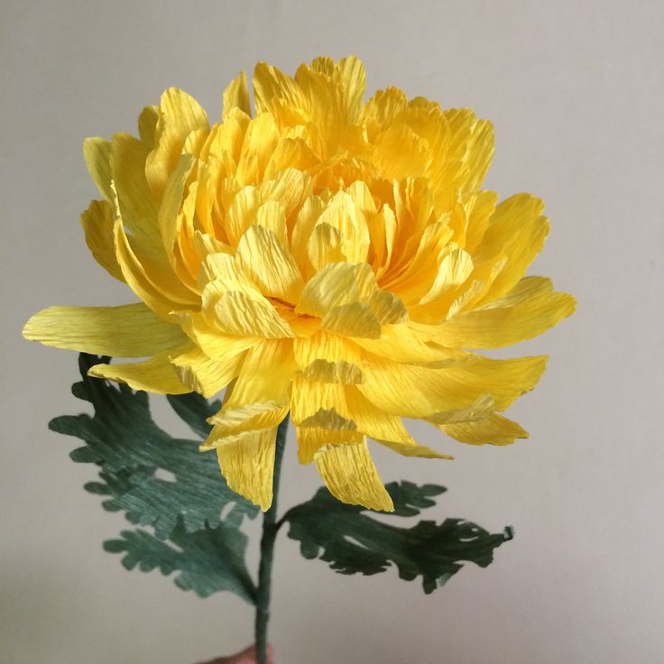 Crepe Paper Flower Series - Schedule of Flowers and Dates are listed