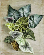 Load image into Gallery viewer, French Ribbon Flowers Workshop on Sunday July 19th
