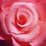 Load image into Gallery viewer, Create a Crepe Paper Rose for your Valentine, Galentine or?
