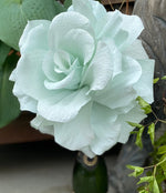 Load image into Gallery viewer, Gorgeous Crepe Paper Rose and a Little Bubbly to toast the Lake &quot;Rose&quot; Festival June 1st
